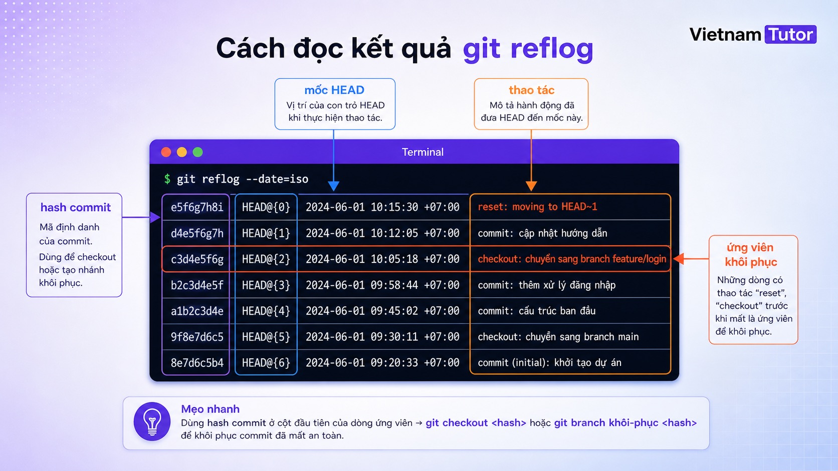 Minh họa cách đọc output git reflog với HEAD và commit hash